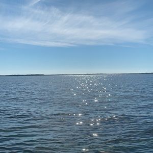 Meet your Posher, Sidney